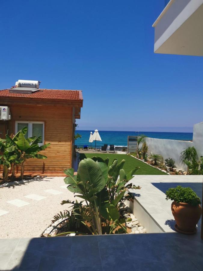 Apartament Agia Marina Chrysochous Kato Yialia Zewnętrze zdjęcie